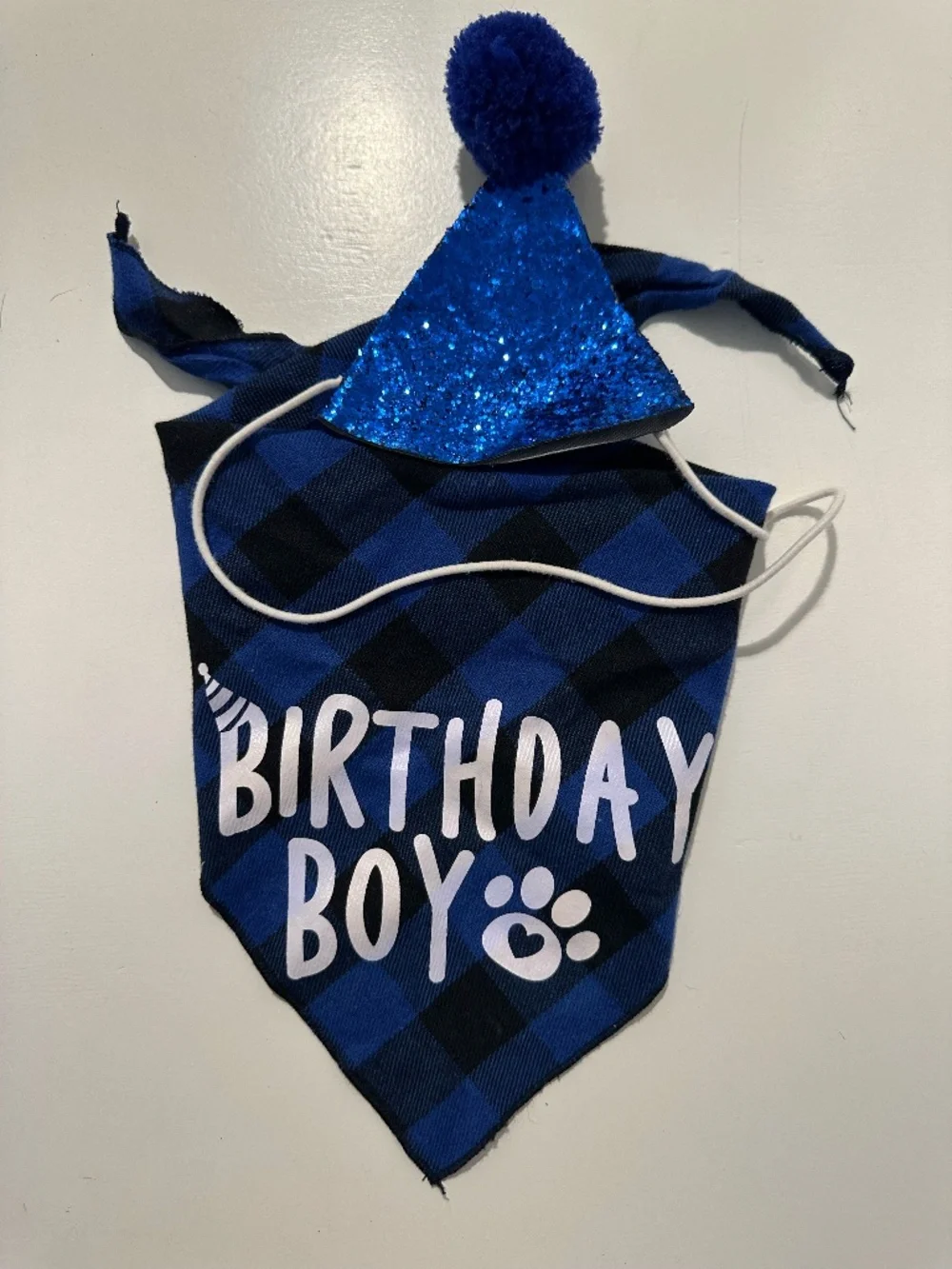 Dog Birthday Boy Bandana & Party Hat